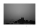dailyPhoto16